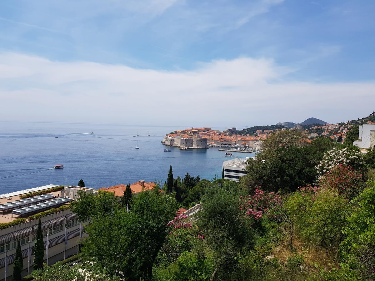 Apartment Dove With Sea View And Free Parking Dubrovnik Extérieur photo